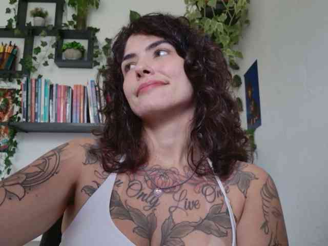 talimajesty webcam
