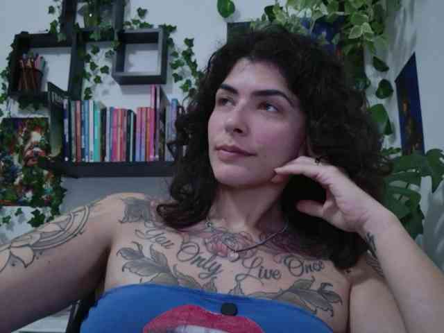 talimajesty webcam
