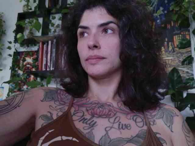 talimajesty webcam