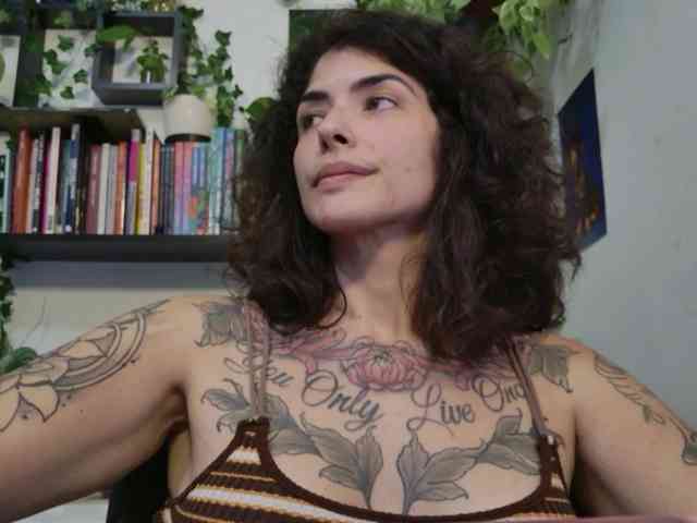 talimajesty webcam