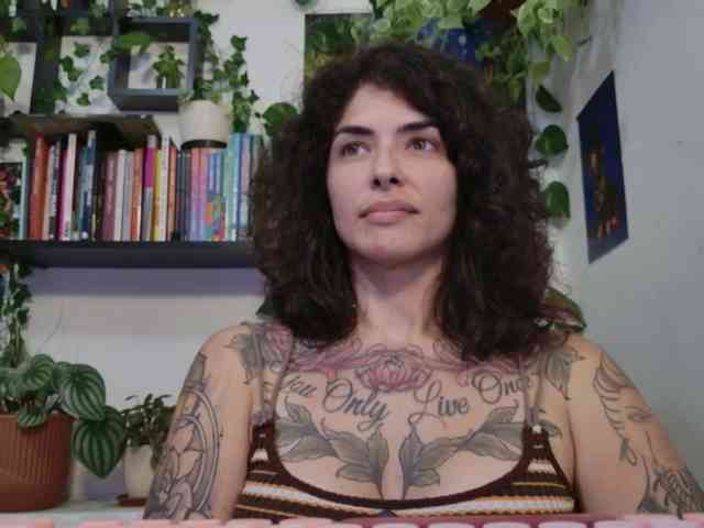 talimajesty webcam