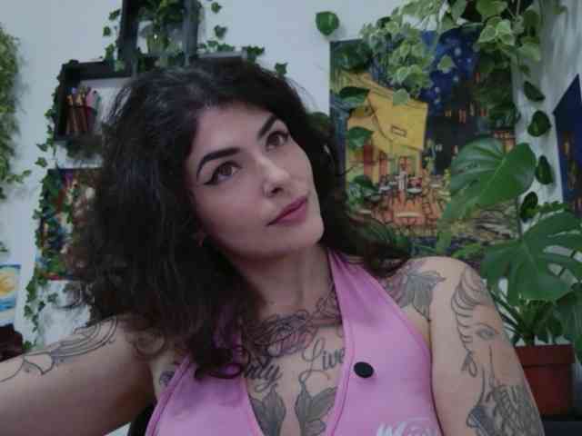 talimajesty webcam