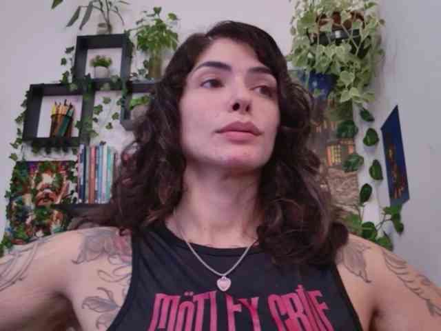 talimajesty webcam
