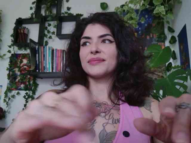 talimajesty webcam