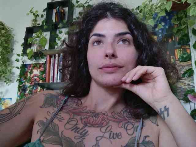 talimajesty webcam