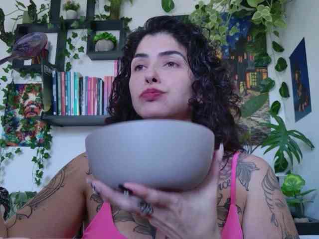 talimajesty webcam