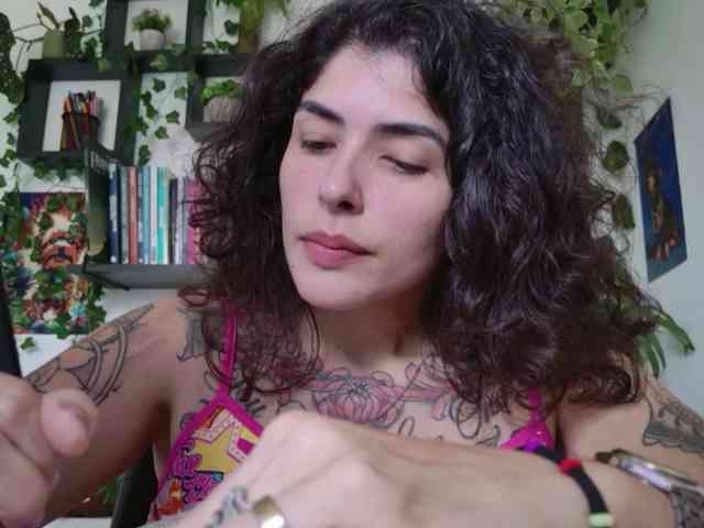talimajesty webcam