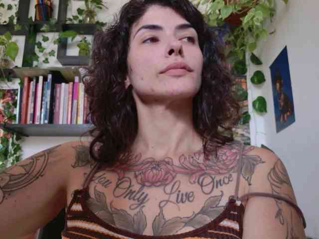 talimajesty webcam