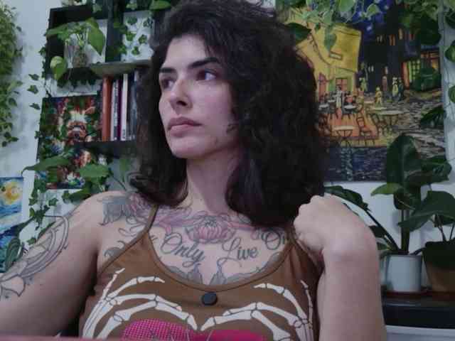 talimajesty webcam