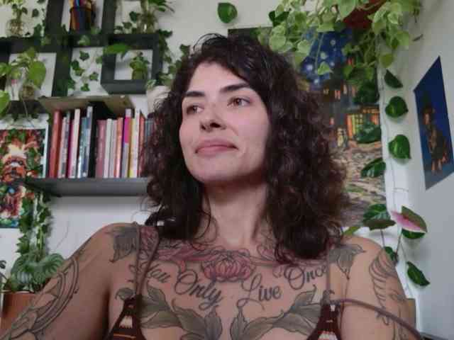 talimajesty webcam