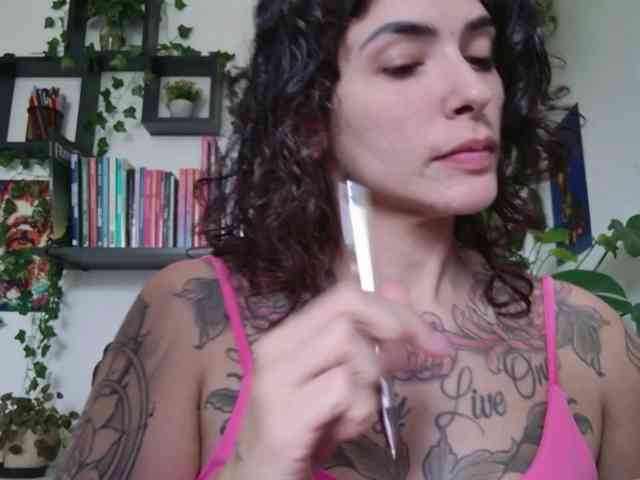 talimajesty webcam