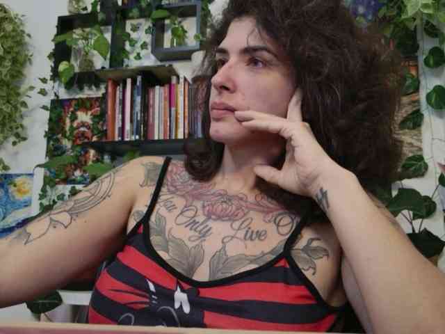 talimajesty webcam