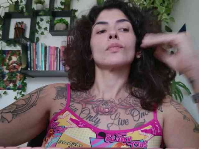 talimajesty webcam