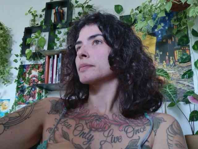 talimajesty webcam
