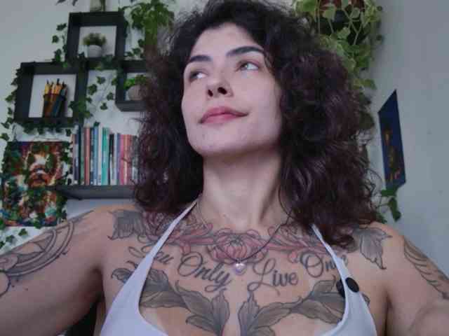 talimajesty webcam