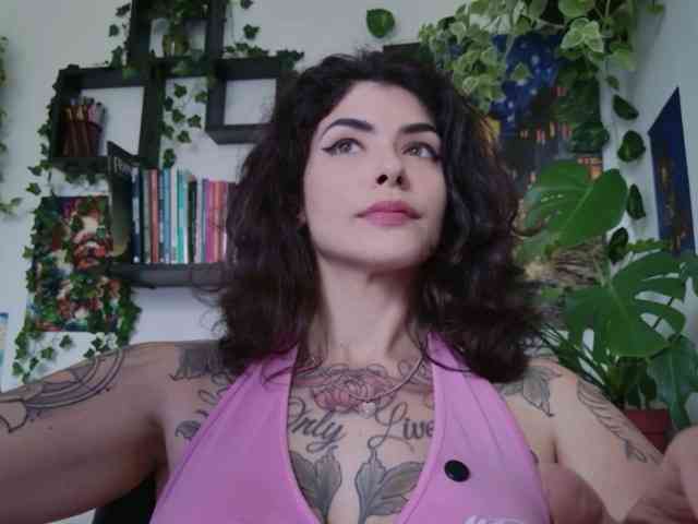 talimajesty webcam
