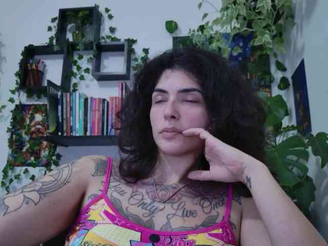 talimajesty webcam