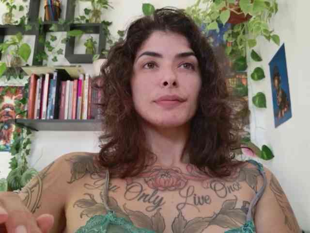 talimajesty webcam