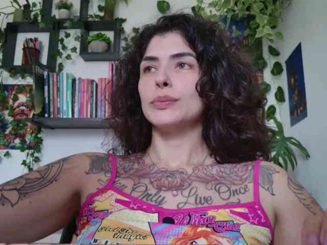talimajesty webcam