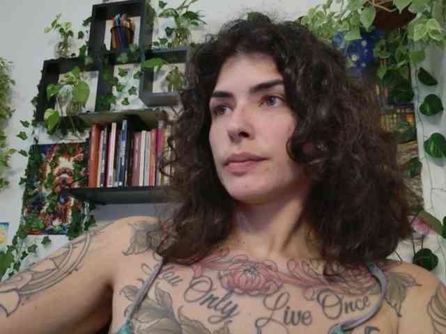 talimajesty webcam