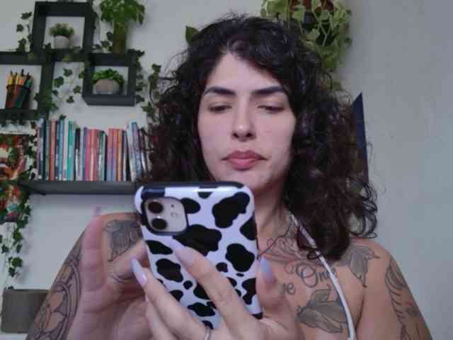 talimajesty webcam