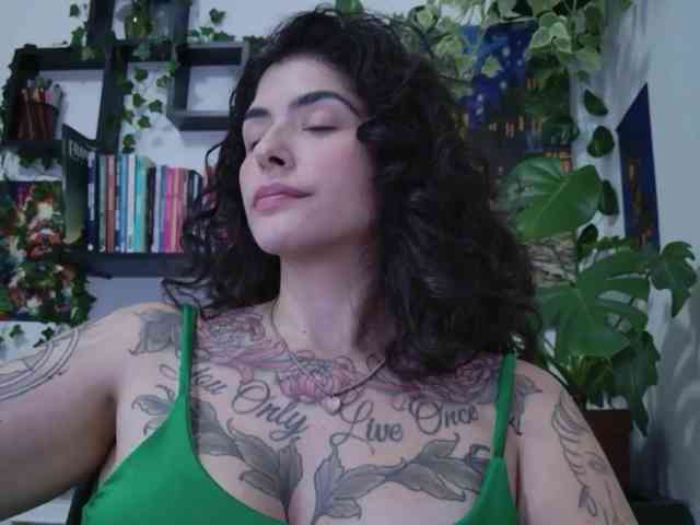 talimajesty webcam