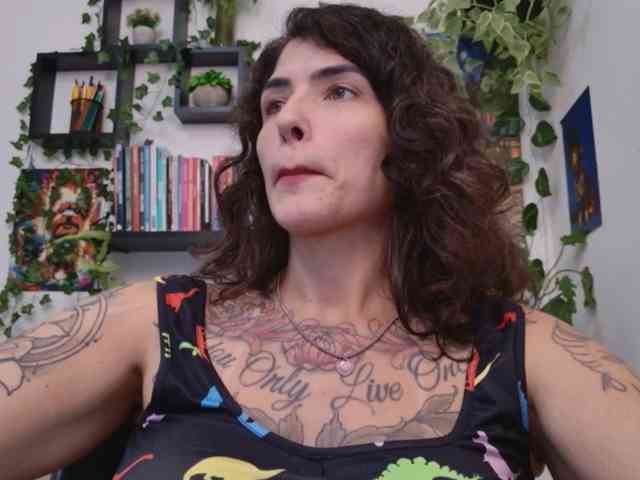 talimajesty webcam