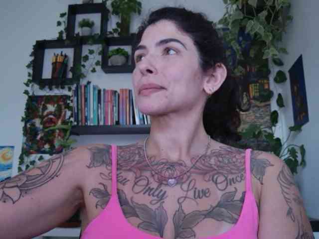 talimajesty webcam