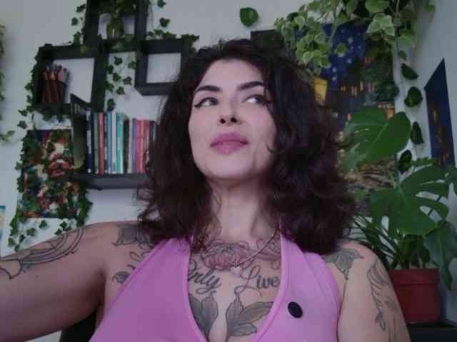 talimajesty webcam