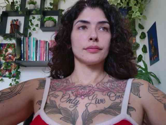 talimajesty webcam