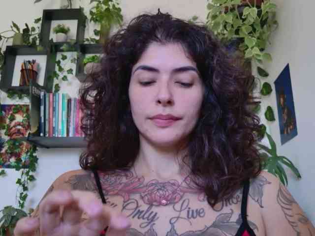 talimajesty webcam