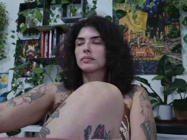 talimajesty webcam