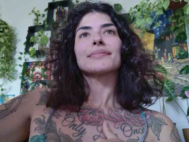 talimajesty webcam