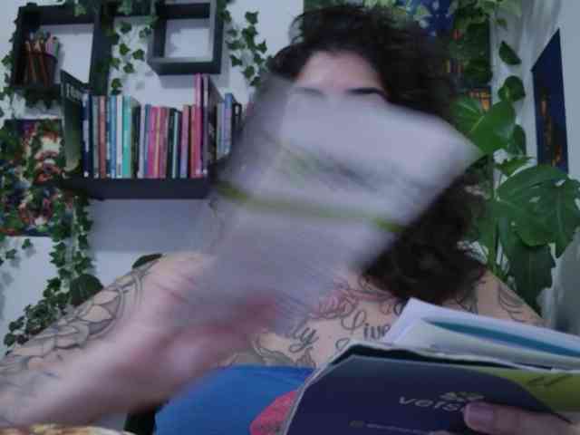 talimajesty webcam