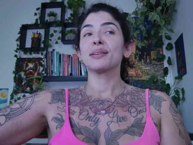 talimajesty webcam