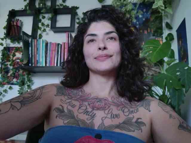 talimajesty webcam