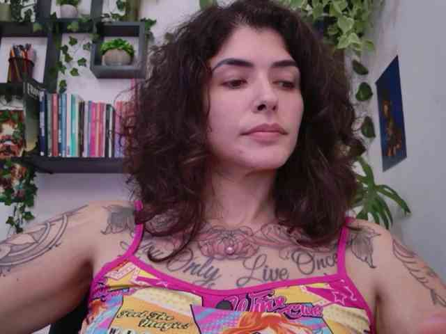 talimajesty webcam