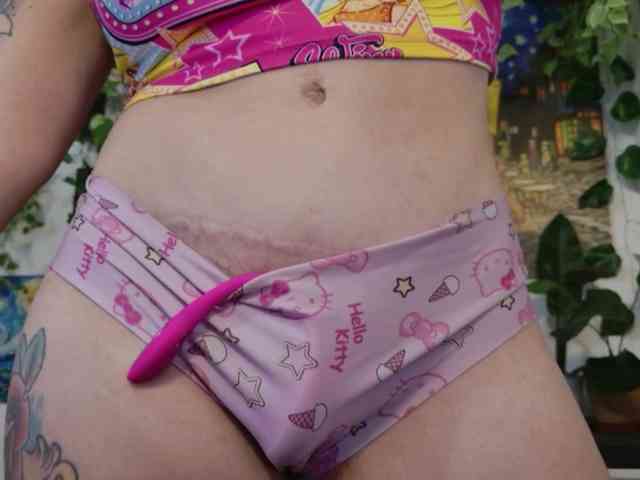 talimajesty webcam