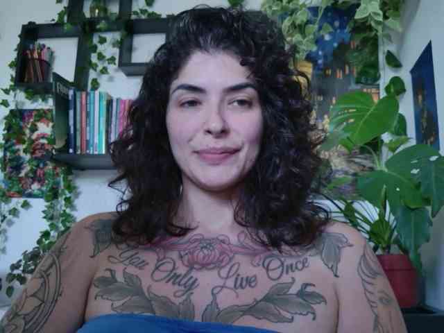 talimajesty webcam