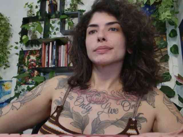 talimajesty webcam