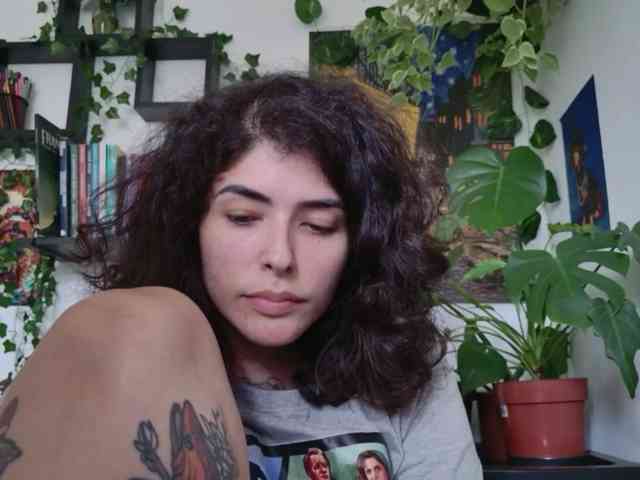 talimajesty webcam