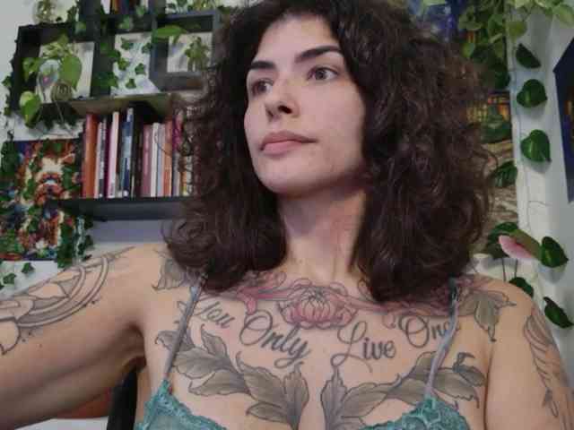 talimajesty webcam