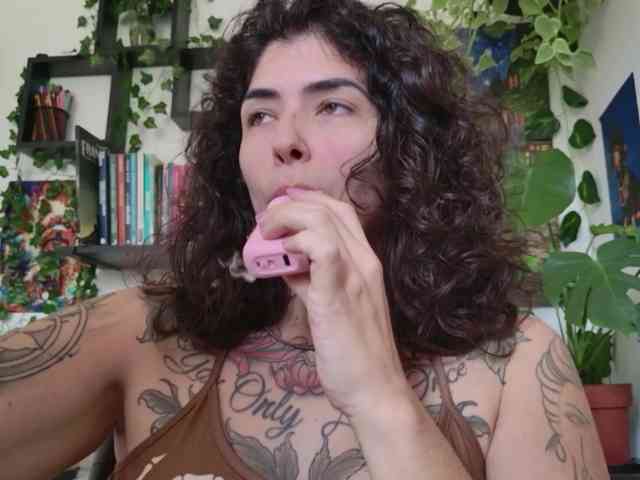 talimajesty webcam