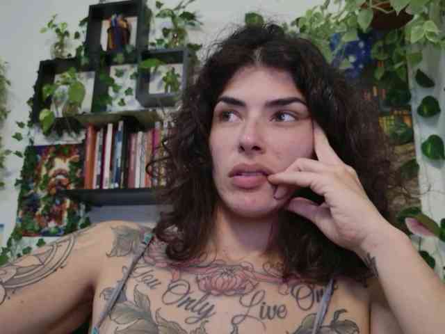 talimajesty webcam