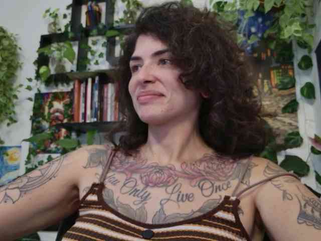 talimajesty webcam
