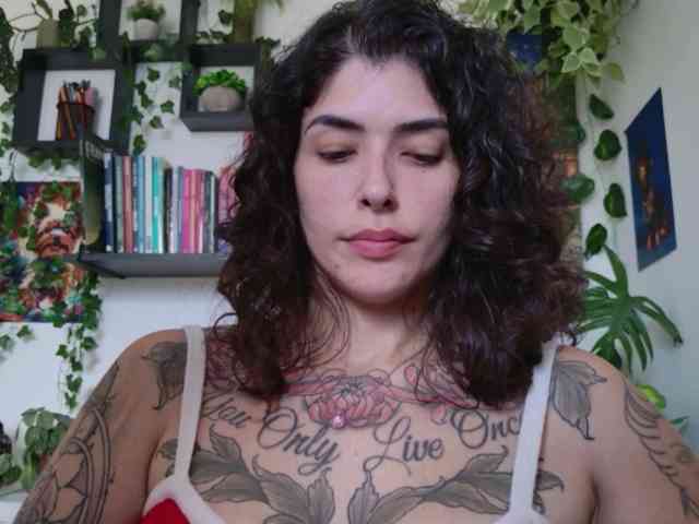talimajesty webcam