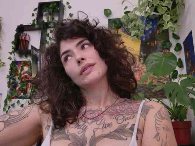 talimajesty webcam