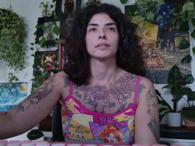 talimajesty webcam