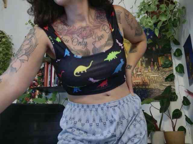 talimajesty webcam