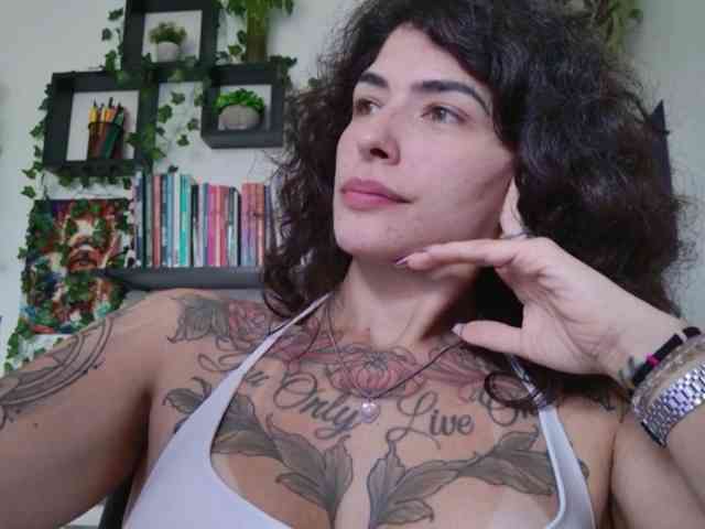 talimajesty webcam